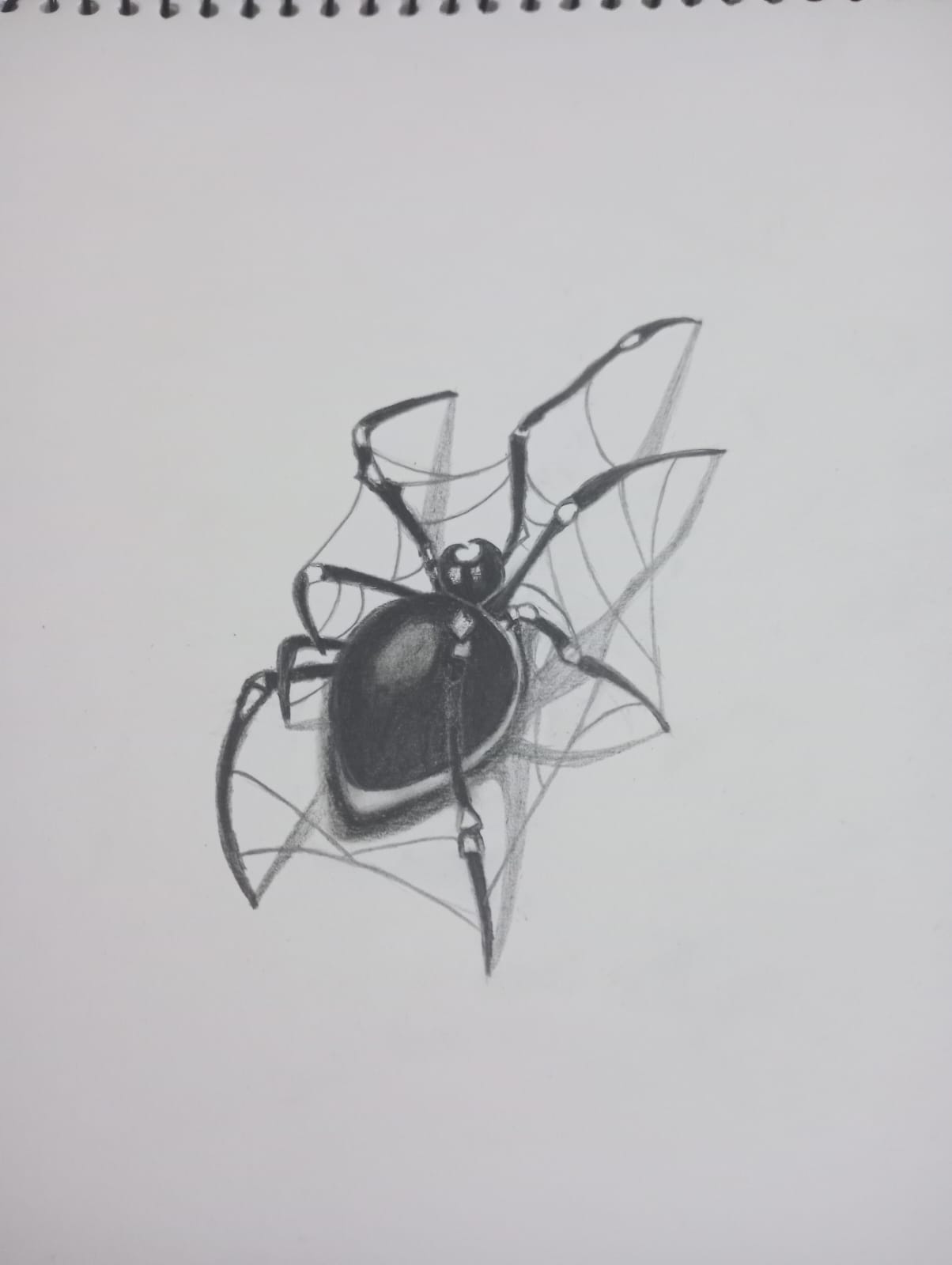 Charcoal sketch of a spider on a torn web
